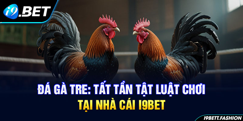 Đá Gà Tre: Tất Tần Tật Luật Chơi Tại Nhà Cái i9BET